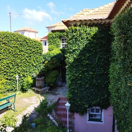 Sea Villa Rosa Charm Seaside And Garden Porto Exteriér fotografie